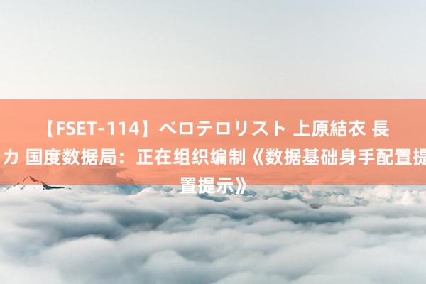 【FSET-114】ベロテロリスト 上原結衣 長澤リカ 国度数据局：正在组织编制《数据基础身手配置提示》