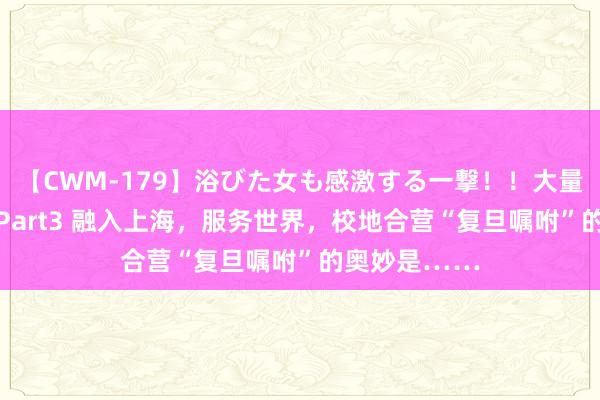 【CWM-179】浴びた女も感激する一撃！！大量顔射！！！ Part3 融入上海，服务世界，校地合营“复旦嘱咐”的奥妙是……