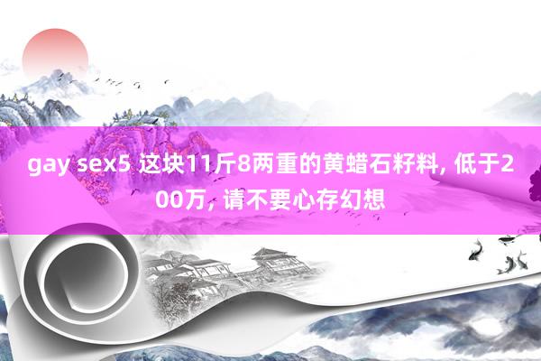 gay sex5 这块11斤8两重的黄蜡石籽料， 低于200万， 请不要心存幻想