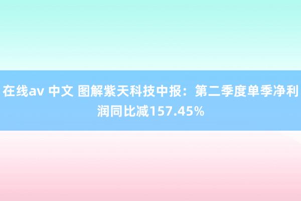 在线av 中文 图解紫天科技中报:第二季度单季净利润同比减157.45%
