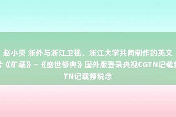赵小贝 浙外与浙江卫视、浙江大学共同制作的英文记载片《矿藏》—《盛世修典》国外版登录央视CGTN记载频说念