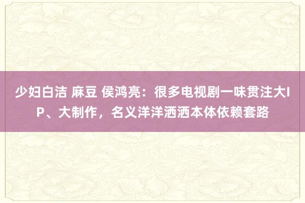少妇白洁 麻豆 侯鸿亮：很多电视剧一味贯注大IP、大制作，名义洋洋洒洒本体依赖套路