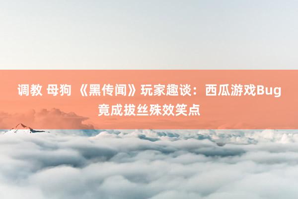 调教 母狗 《黑传闻》玩家趣谈：西瓜游戏Bug竟成拔丝殊效笑点