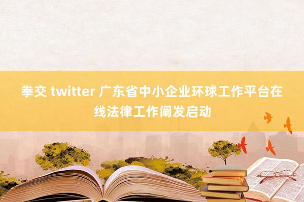 拳交 twitter 广东省中小企业环球工作平台在线法律工作阐发启动