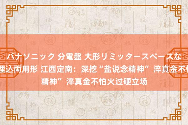 パナソニック 分電盤 大形リミッタースペースなし 露出・半埋込両用形 江西定南：深挖“盐说念精神” 淬真金不怕火过硬立场
