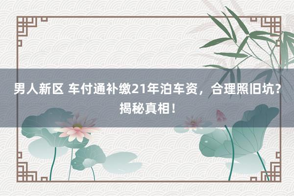男人新区 车付通补缴21年泊车资，合理照旧坑？揭秘真相！