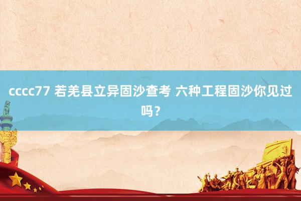 cccc77 若羌县立异固沙查考 六种工程固沙你见过吗？
