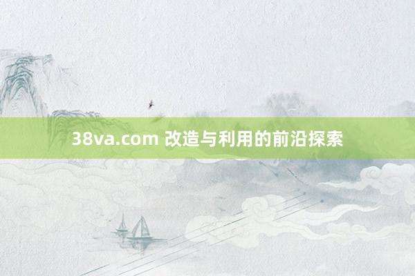 38va.com 改造与利用的前沿探索