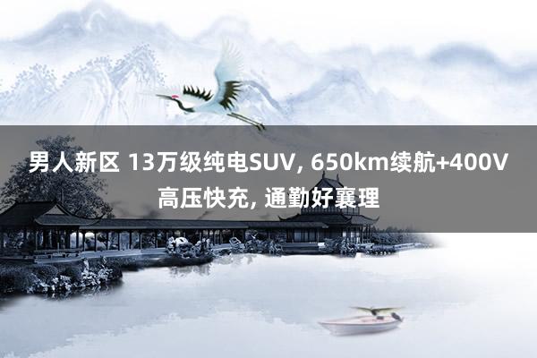 男人新区 13万级纯电SUV， 650km续航+400V高压快充， 通勤好襄理