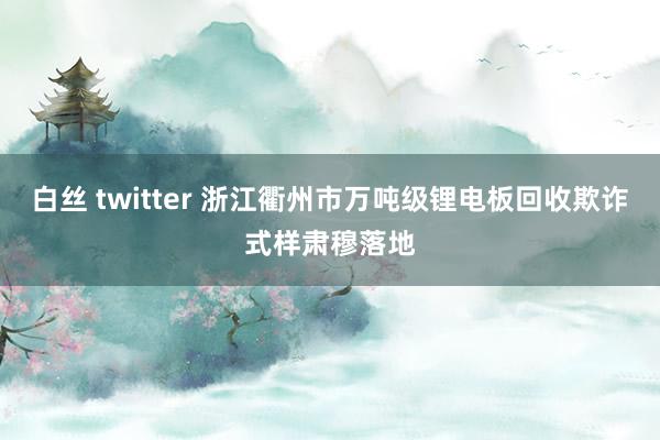 白丝 twitter 浙江衢州市万吨级锂电板回收欺诈式样肃穆落地