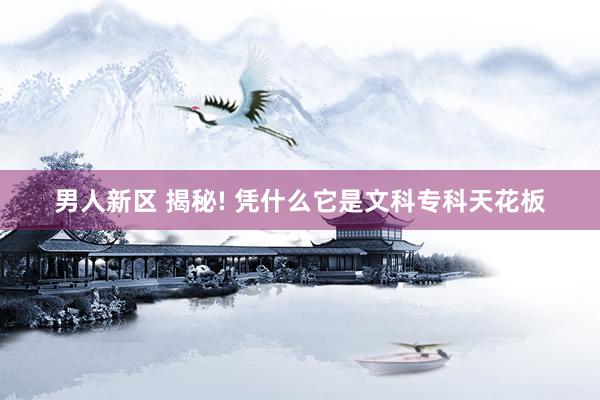 男人新区 揭秘! 凭什么它是文科专科天花板