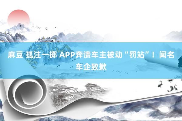 麻豆 孤注一掷 APP奔溃车主被动“罚站”！闻名车企致歉