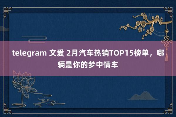 telegram 文爱 2月汽车热销TOP15榜单，哪辆是你的梦中情车